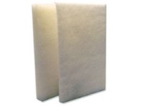 Valkoinen karhunkieli