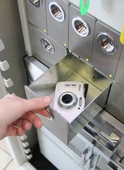 alykaslokerikko kuva2